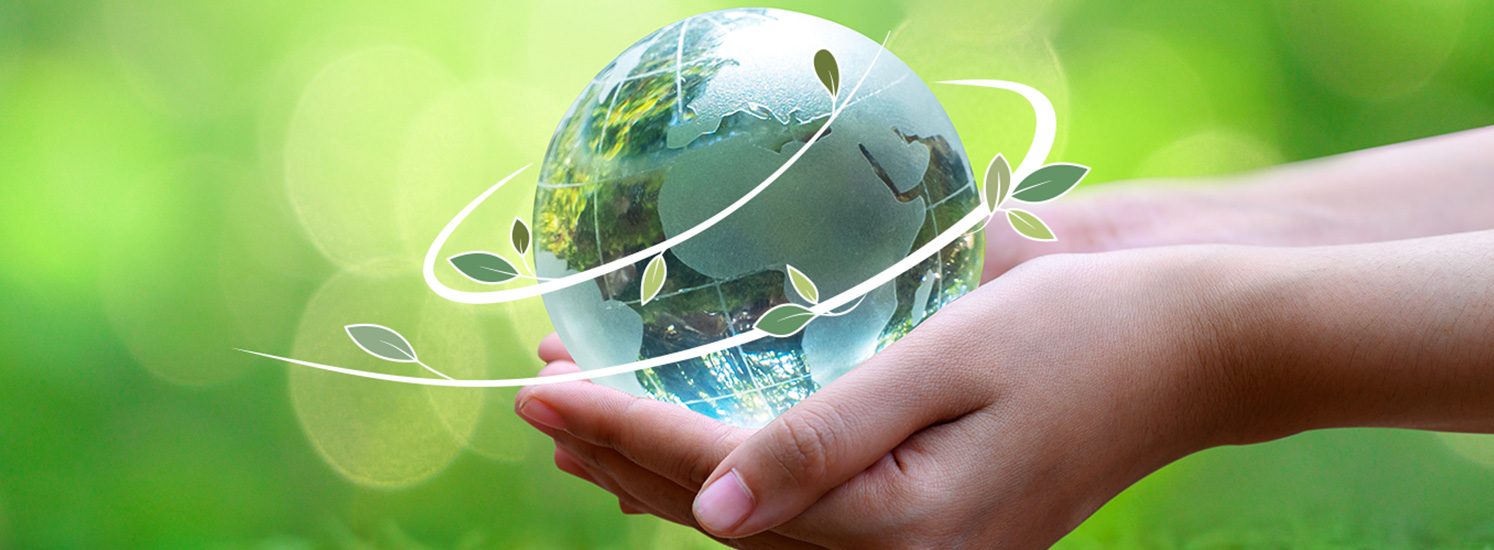 Sustainability image: photograph of a person holding a globe made of glass with reflections of overgrown trees.