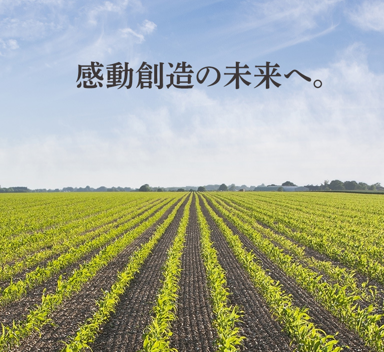 感動創造の未来へ。 - 緑の作物が一面に広がる広大な畑の風景